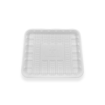 Biodegradable Food Serving Tray