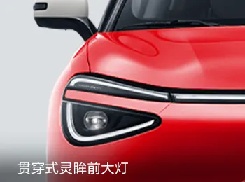 2024 Dongfeng Nano 01 430 Plus Zhi+