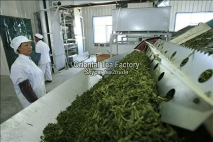 China Spring Health Care Product Longjing Green Tea