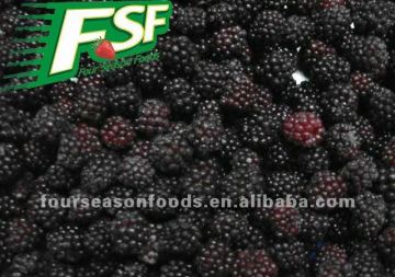 frozen blackberries