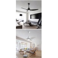 Energy Saving 52 Inch ceiling fan light