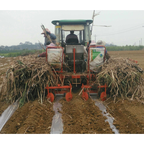 Machine de plantation/fertilisation de canne à sucre haute efficacité