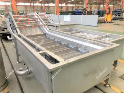 Raisin Spray Washing Machine