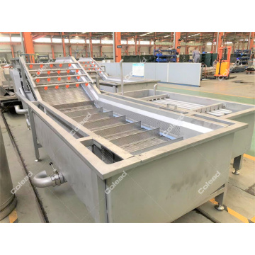 Fruit and vegetable processing machine lettuce washing line