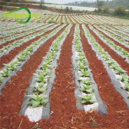 LDPE plastic mulching film for agriculture planting