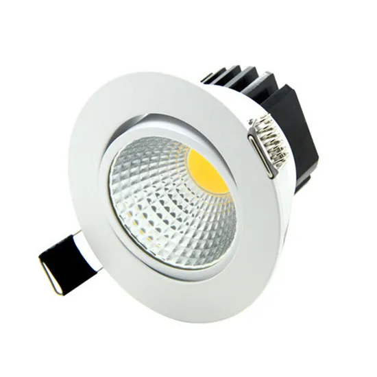 China LED COB Down Light Supplier