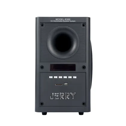 speakers professional karaoke amplifier ac/dc