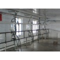 High tech herringbone milking hall