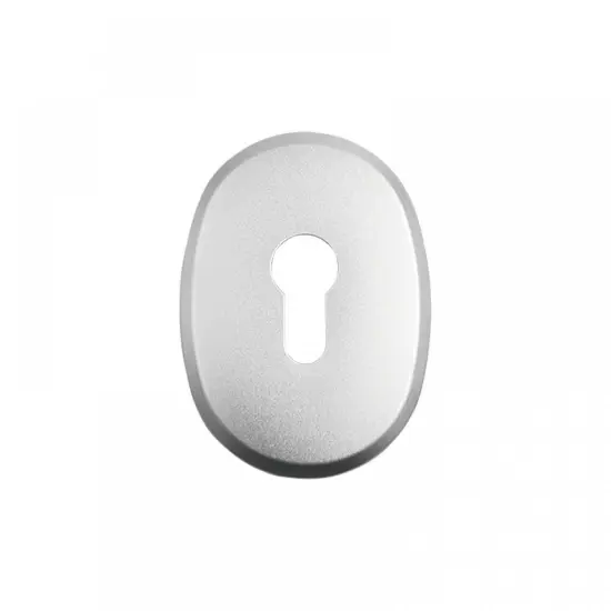 Euro Style Lock Cylinder Cover