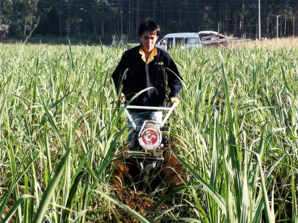 hand start 6.5hp china garden machinery cheap garden tractor