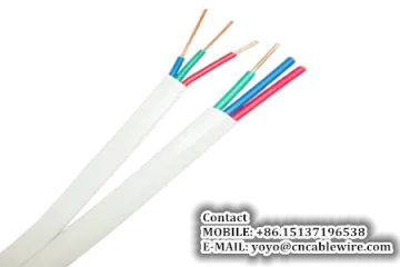 BV Sheathed Wire