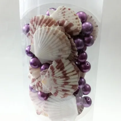Wholesale Natural Beach Seashells For Crafts