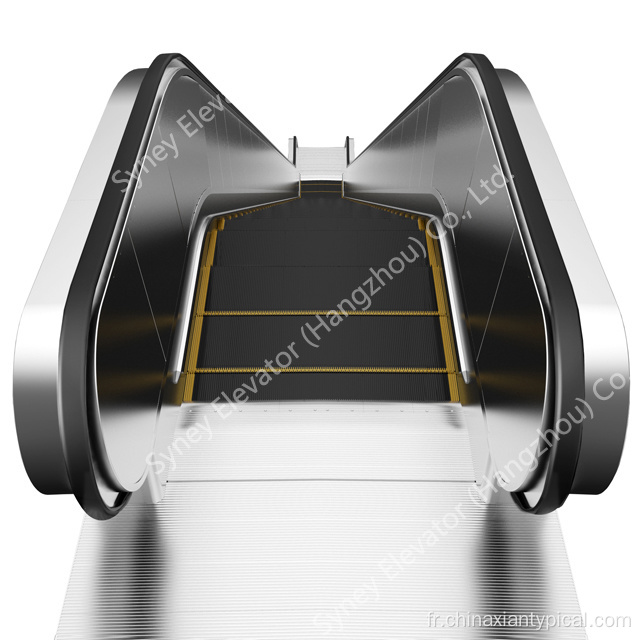 Escalier roulant robuste de transport public pour la gare et le métro