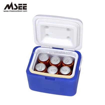 Coolest 5L Insulation Plastic Cooler Box