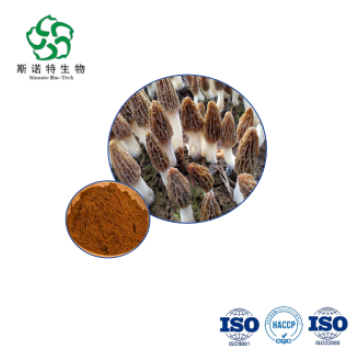 Gourmet Dried Morels and Wellness Extract