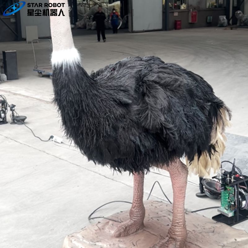 Life Size Ostrich Model
