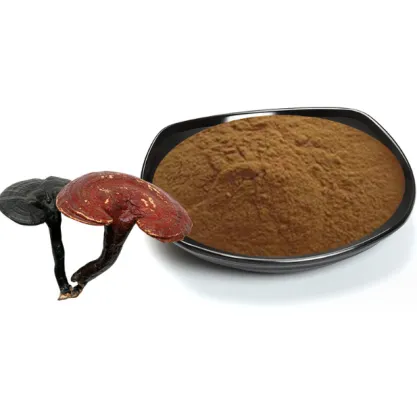 Ganoderma Lucidum Extract Powder