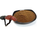 Polvo de extracto de Ganoderma Lucidum