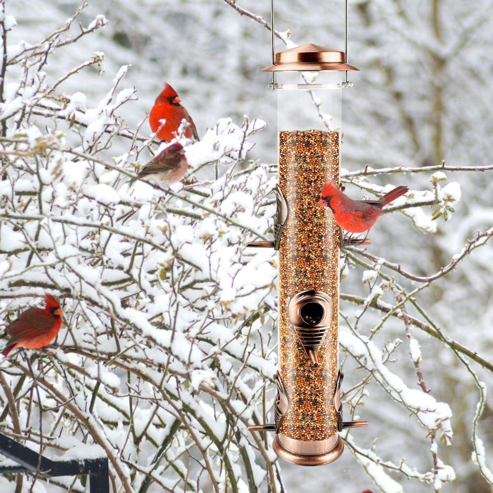 Tube suspendu les graines d&#39;oiseaux sauvages