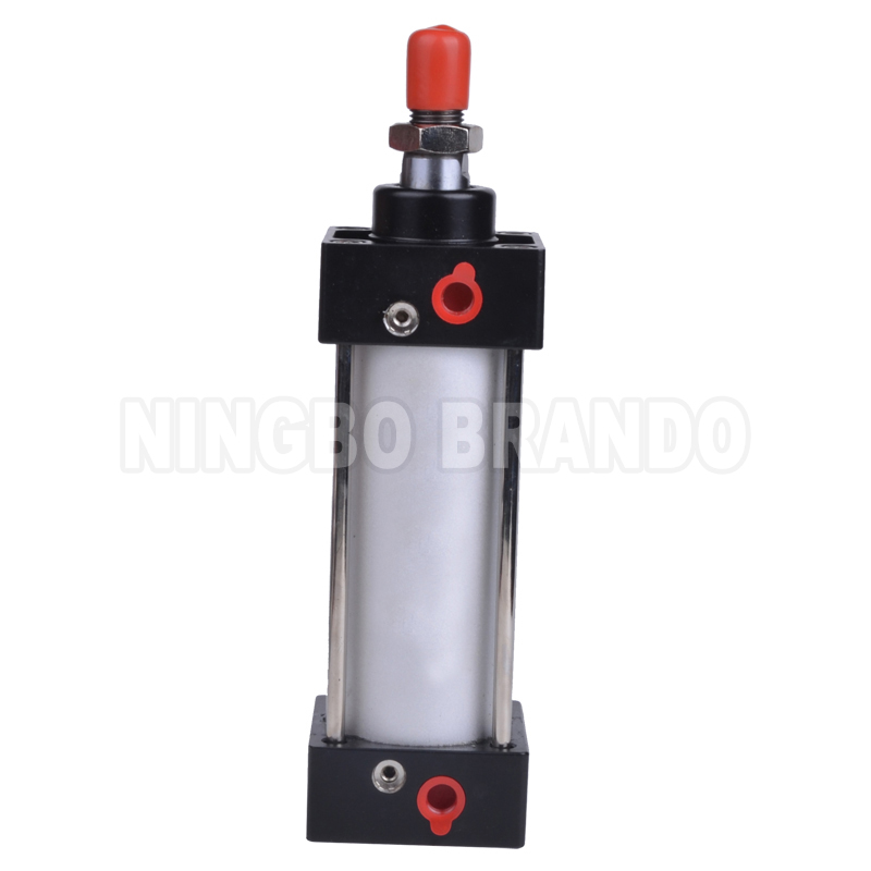 Pneumatic Cylinder