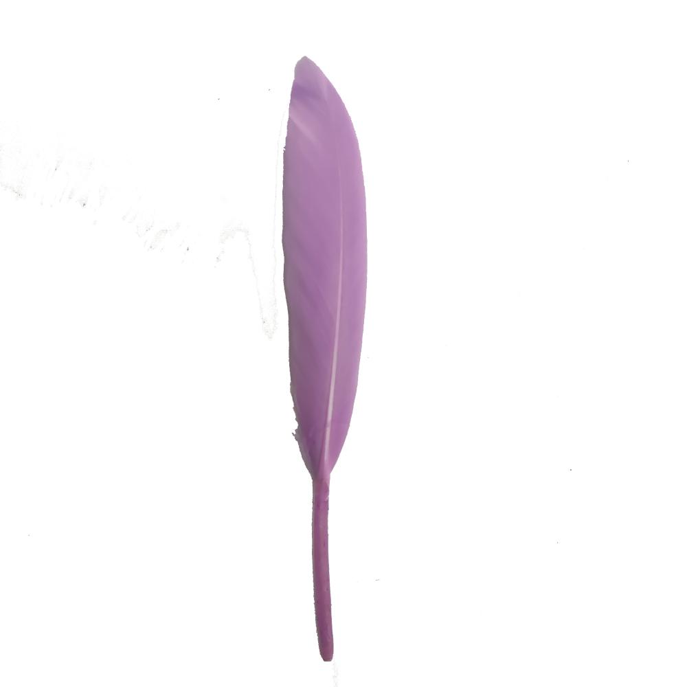 Purple Goose Feather