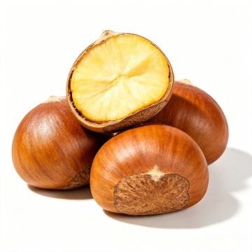Ready To Eat Roasted Sweet Chestnuts