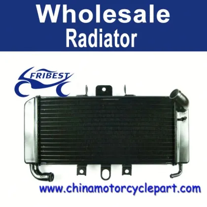1998 For Yamaha FZ600 FAZER Radiator Cooling FRDYA003