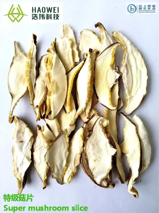 DRIED MUSHROOM