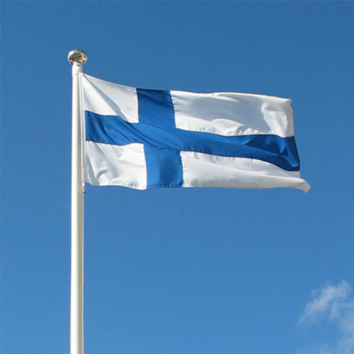 Wholesale 100% polyester national country Finland flag