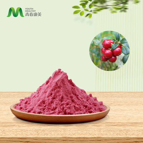 Сертификовани органски прашак од бруснице