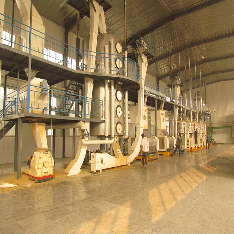 Oil Seed Oil Press