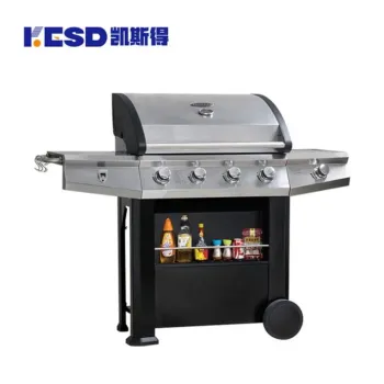 New 2024 Grill for Outdoor Camping Gas Barbeque Grills Stainless Steel Outdoor Gas Grills