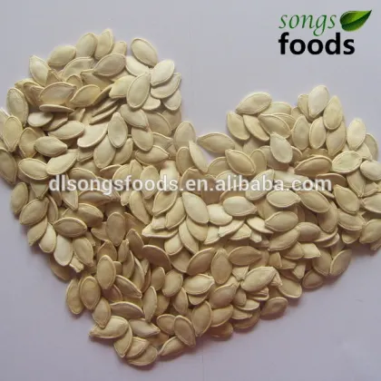 Pumpkin Seeds & Kernels from a Top 100 Companies in Agriculture