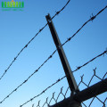 Best Price Barbed wire fence with galvanized surface