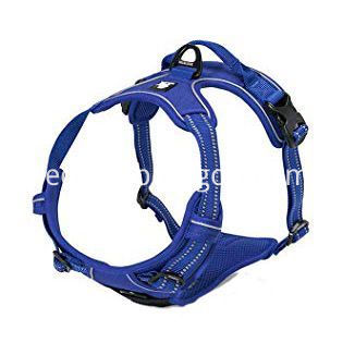 1566914477-best-harneses-for-puppies-juxzh-1566914425