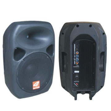 W-12ACT speaker