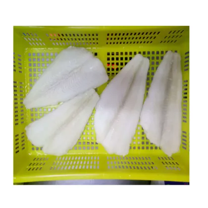 Grade A Frozen Flounder Iqf Frozen Fresh Arrow Tooth Flounder Supplier Arrow Tooth Flounder New