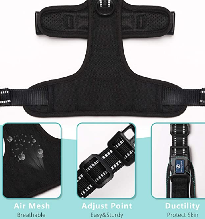 Best Dog Harness