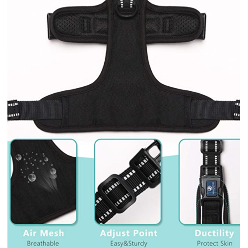 Comfortable Dog Harness with Handle