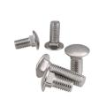 Stainless Steel carriage bolt screw 304 316