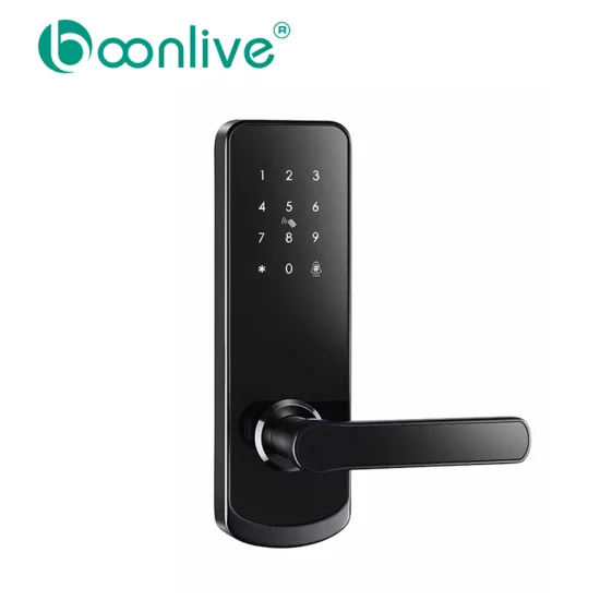 Durable Intelligent Fingerprint Wifi Bluetooth Lock