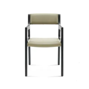 Nice Design Exquisite Wooden Dining Chair