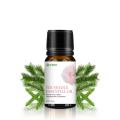 High Quality Fir Needle Essential Oil 100% Pure Herbal and Undiluted Oil Helps in Pain and Getting Relieved from Anxiety