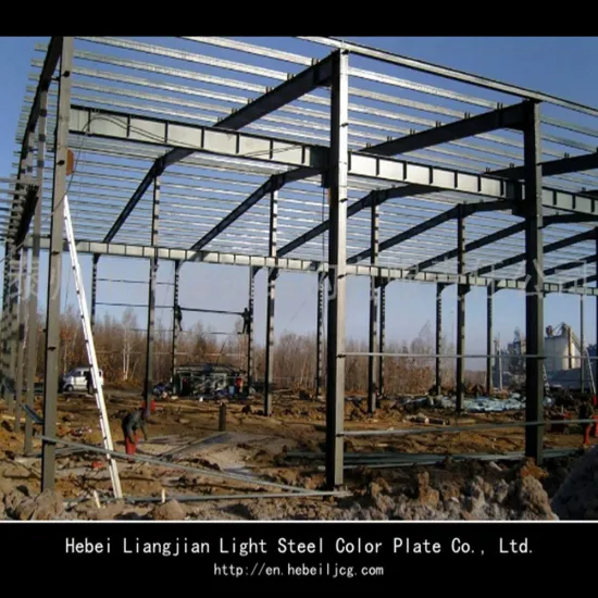 Professional manufacture/high quality steel frame construction/steel structure