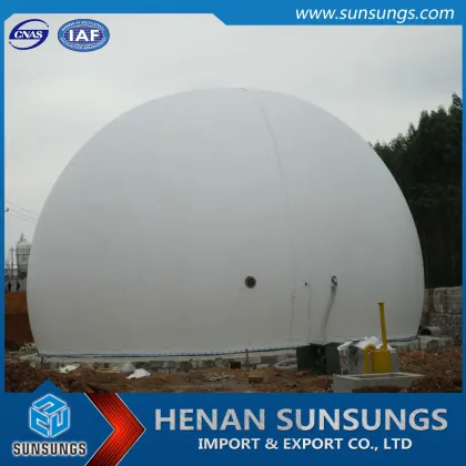 Biogas fermentation biogas storage and biogas power generator supplier