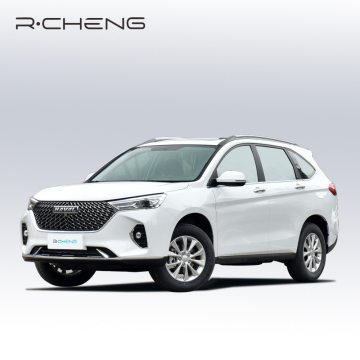 Haval M6 5 καθίσματα 5 πόρτες 2wd αερίου υψηλής τεχνολογίας SUV
