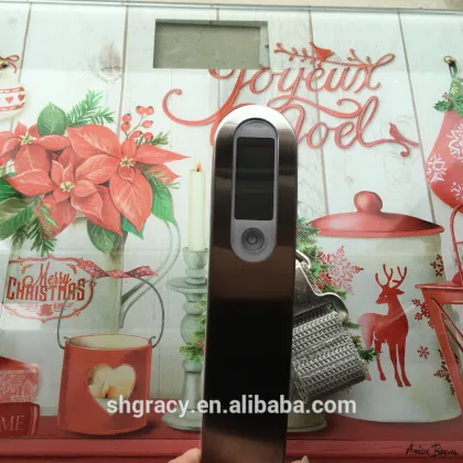 Small luggage scale industries/digital luggage scale