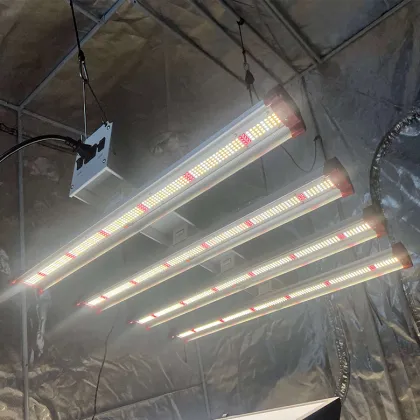 Top 600W COB Led Grow Light Samsung
