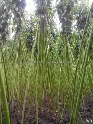 Hemp Harvester: Industrial Hemp Fiber Decortication Machine