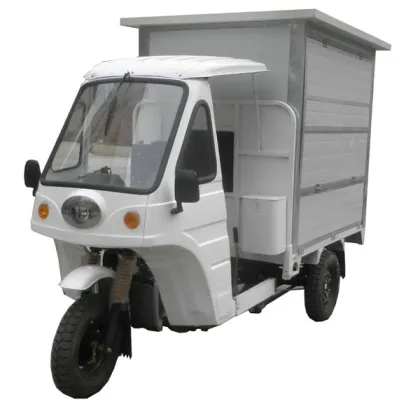 2015 Popular tricycle cargo bike,cargo tricycle bike